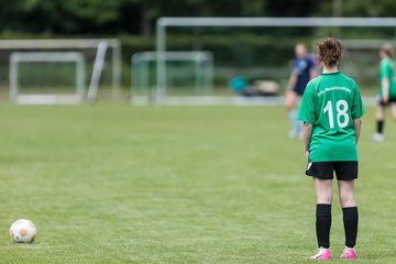 Bild 285 - F VfL Pinneberg - GW Eimsbuettel4 : Ergebnis: 9:0